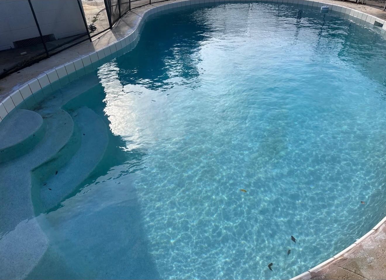 Crystal clear round pool in Orlando, FL